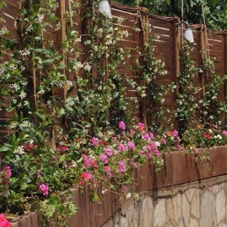 Pine Hill Marmaris Icmeler