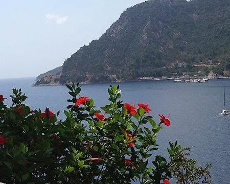 Pine Hill Marmaris Апарт-отель Ичмелер