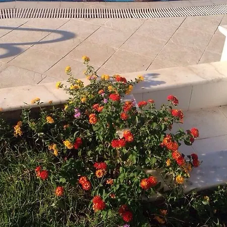 Pine Hill Marmaris Ичмелер