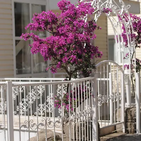 Pine Hill Marmaris Aparthotel