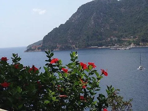 Pine Hill Marmaris Ξενοδοχείο με διαμερίσματα İcmeler