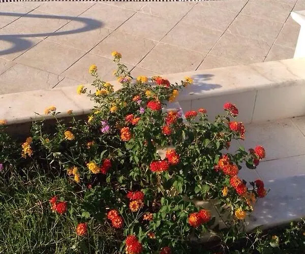 Pine Hill Marmaris İçmeler